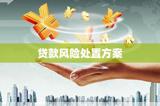 蚌埠贷款风险处置方案