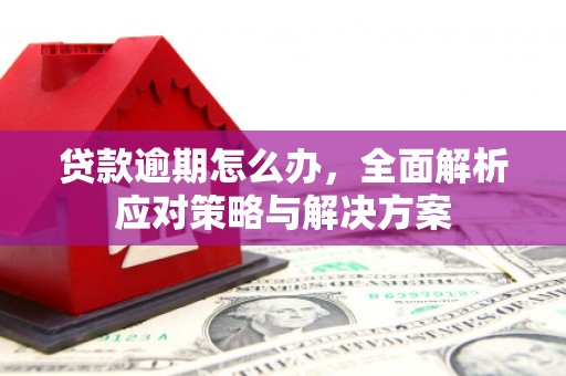 蚌埠贷款逾期怎么办，全面解析应对策略与解决方案