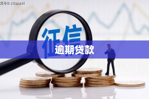 蚌埠逾期贷款