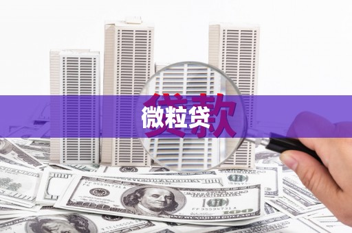 蚌埠微粒贷