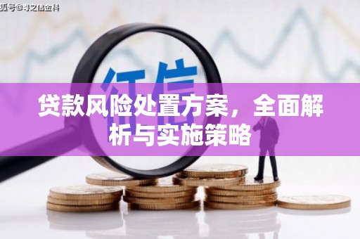蚌埠贷款风险处置方案，全面解析与实施策略