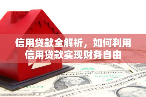 蚌埠信用贷款全解析，如何利用信用贷款实现财务自由