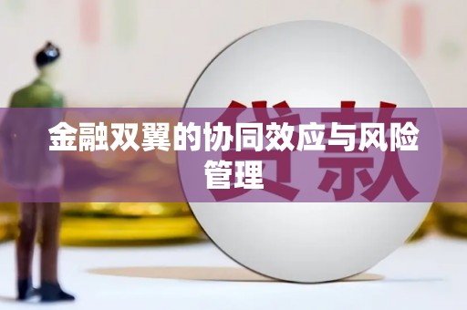 蚌埠金融双翼的协同效应与风险管理