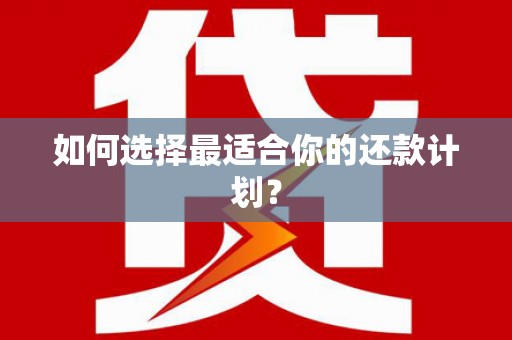 蚌埠如何选择最适合你的还款计划？