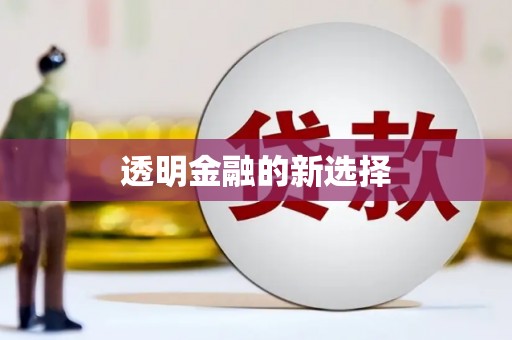 蚌埠透明金融的新选择