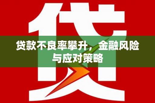 蚌埠贷款不良率攀升，金融风险与应对策略