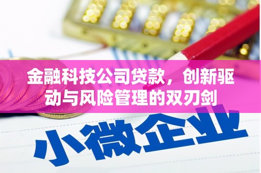 蚌埠金融科技公司贷款，创新驱动与风险管理的双刃剑